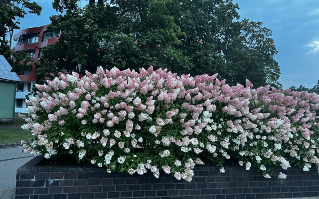 Salt Garden Apartments