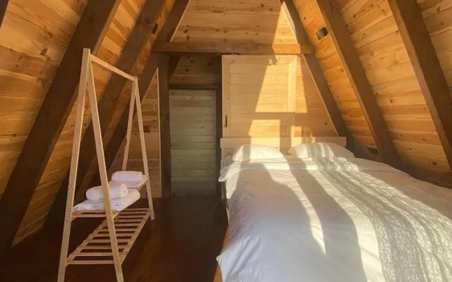 Tenora Suit Bungalov