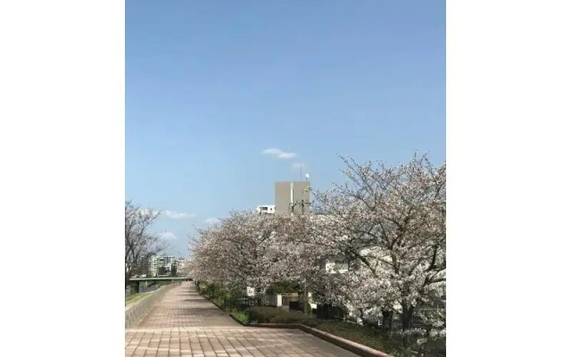 Family House – Outside – Kumamoto