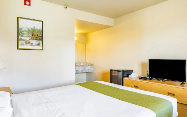 City Inn - фото 4