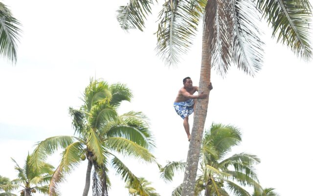 Liku'alofa Beach Resort