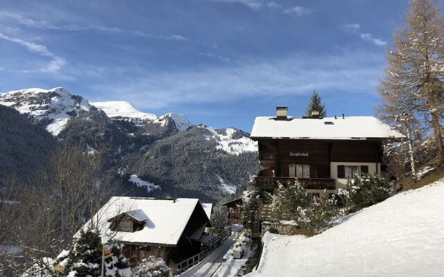 Chalet Bergkristall