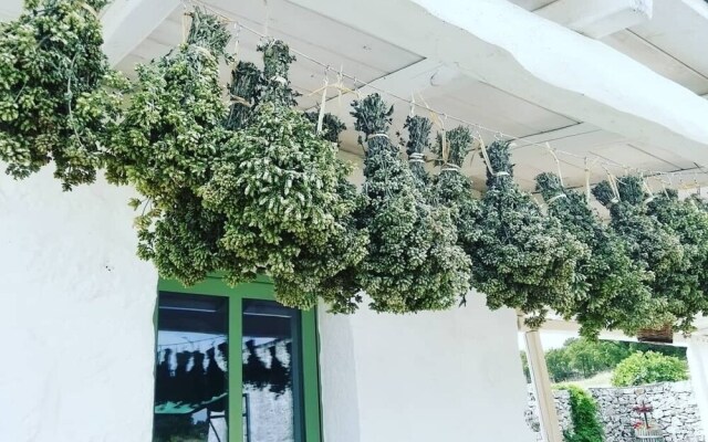 La Casa degli Uccellini Bio Agriturismo