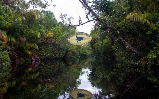 Turtle Beach Lodge