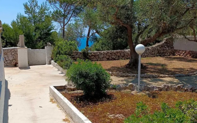 Scogliera del Gabbiano