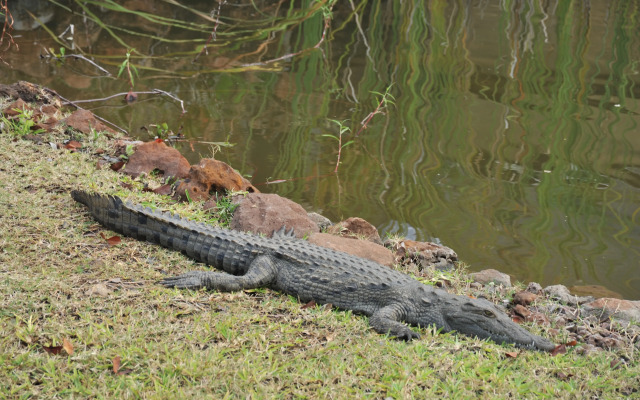 The David Livingstone Safari Lodge & Spa
