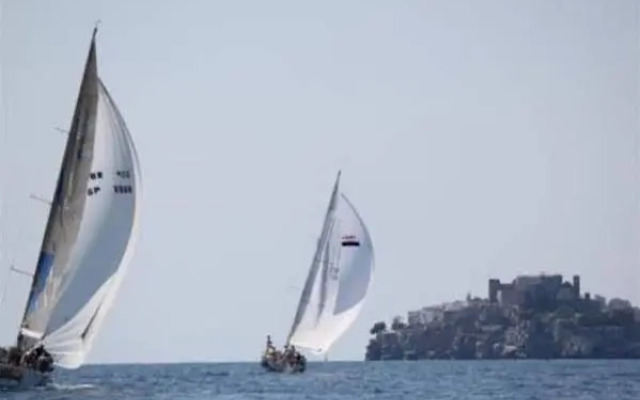 Estrella del Mar