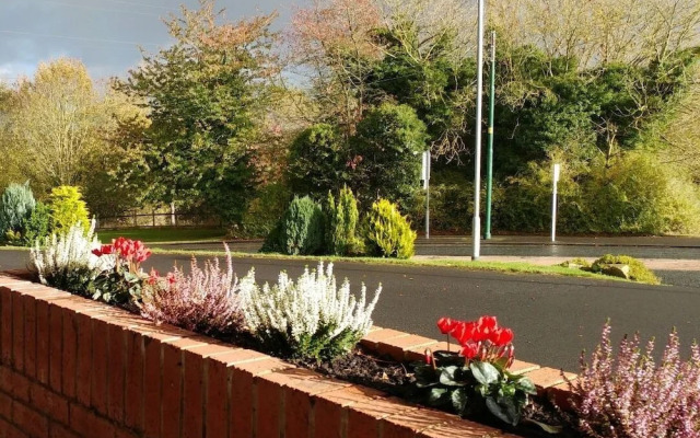 Swan Studios