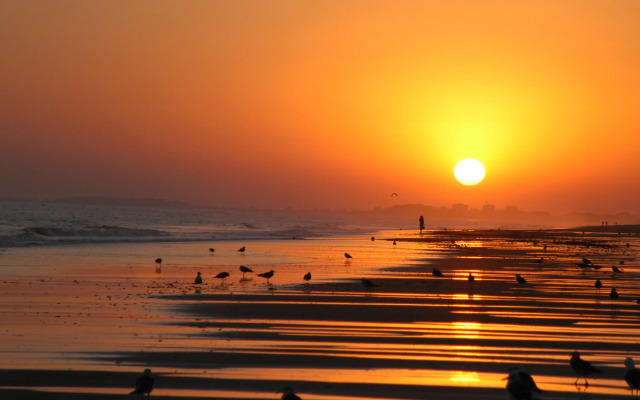 Leo Jardines de Isla Canela