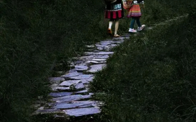Longji Terraces Chenxi Junxiu Homestay (Jinfoding Observation Deck)