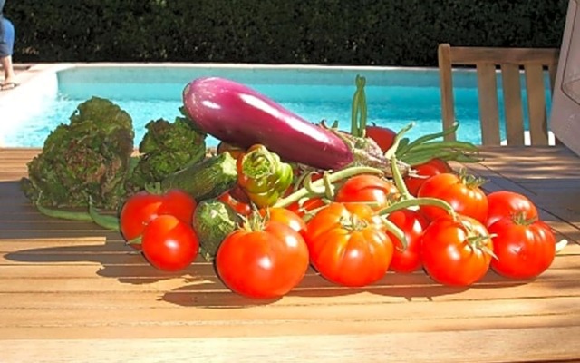 Chambres dhôtes Sous LOlivier