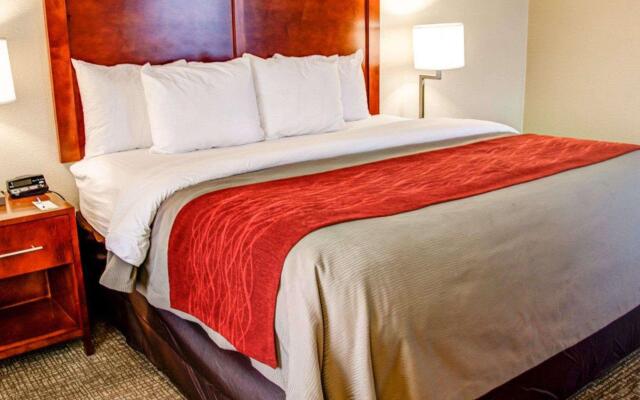 Comfort Inn Bessemer Birmingham South