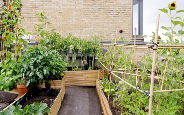 Unique & Vibrant 1-bed Loft With Roof Garden