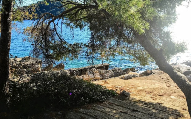 Fancy Apartments Dream