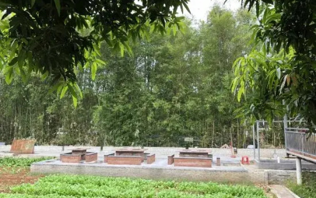 Jindaoxiang Hostel