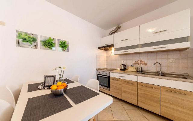 Apartment Vivis