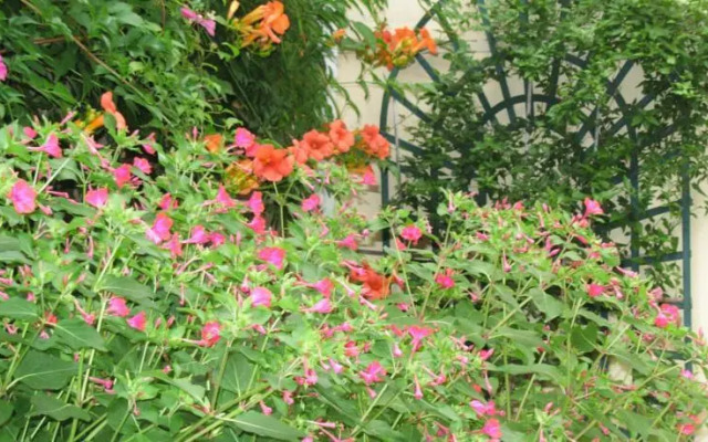 Gite Le Musee de Bernadette et Xavier