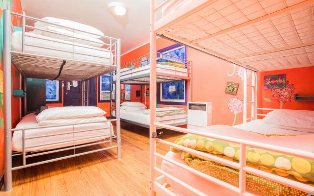 ITH San Diego Adventure Hostel