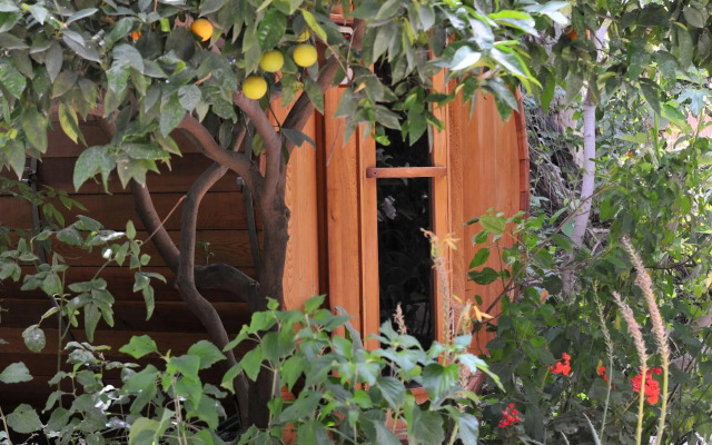 Pina Balev Inn