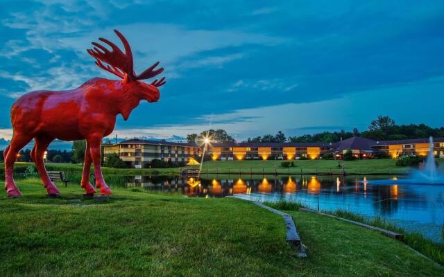 Best Western Plus Fox Creek