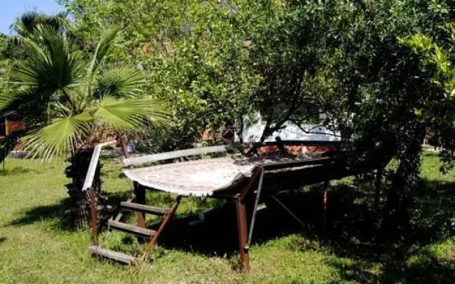 Billur Pension