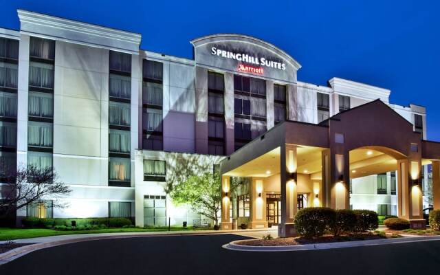 Springhill Suites by Marriott Chicago Elmhurst/Oakbrook Area