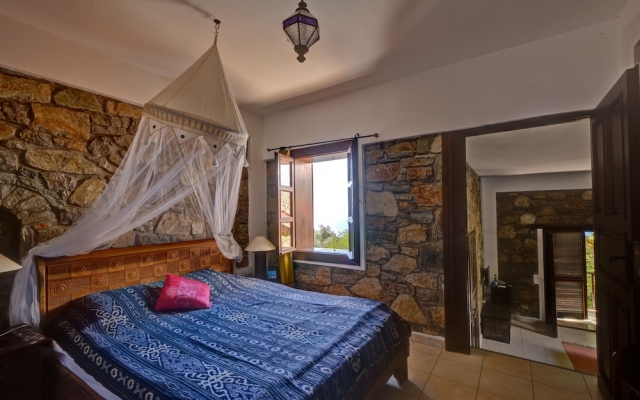 Lazy Lizard Boutique-Hotel
