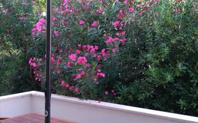 Pag studio Garden