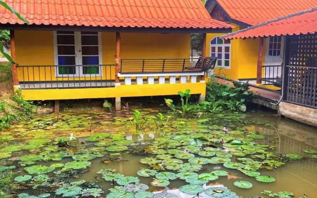 Nokkamin Home Chiang Dao
