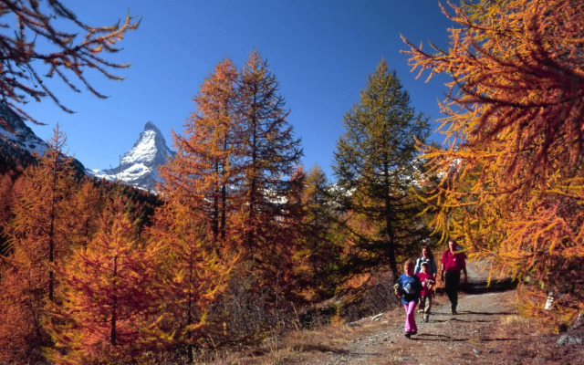 Sunstar Hotel Zermatt