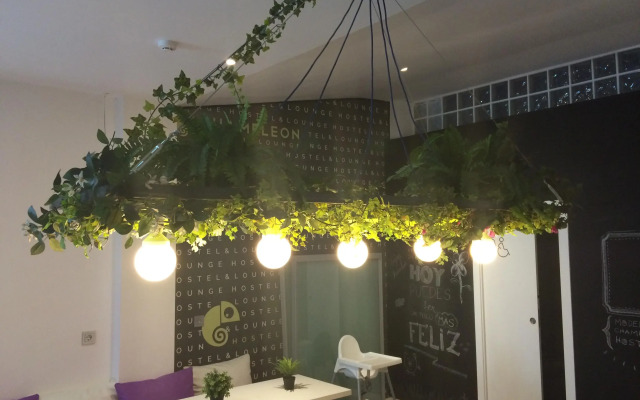 Chameleon Hostel