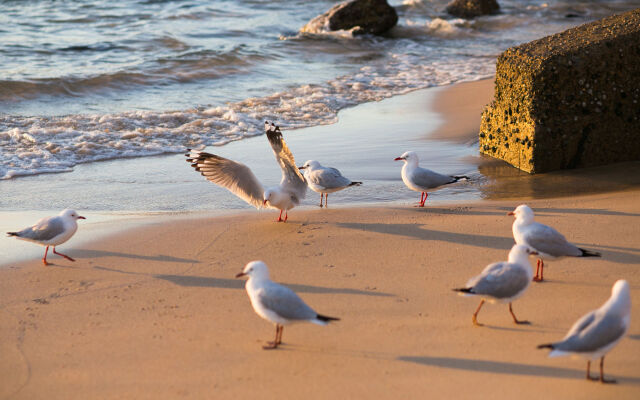 Bondi 38 Serviced Apartments