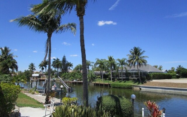 Palm Tree by 123cape VR