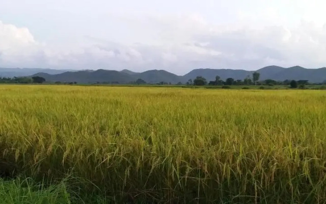 Baan Saun Homestay By Lamyai Khunmae