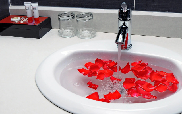 Begonia Nha Trang Hotel