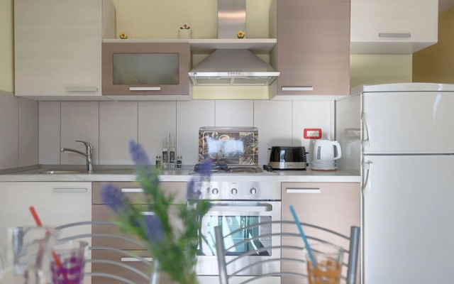 Linden Tree Pula in Pula