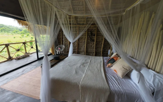 Dominican Jungle Resort