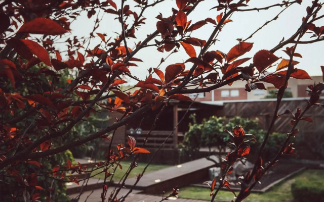 Villa Paquita - Delta de l'Ebre