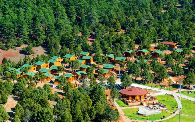 Denizli Bagbasi Yaylasi Bungalow Evleri