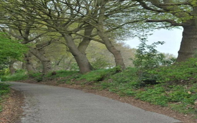 Villa Oesterdam 4 Persons