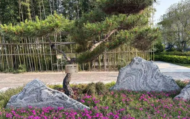 Zhoukou City Guest House