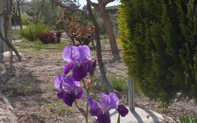 Apartamentos turísticos Cuevas Tiana