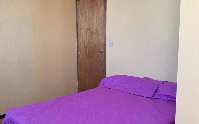 Hostal Mejiquito San Marcos - Hostel