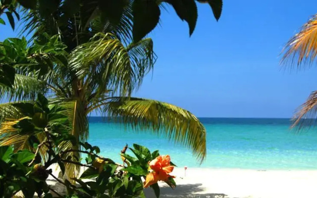 SeaSand Eco Villas