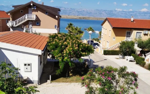 Apartmani Darija
