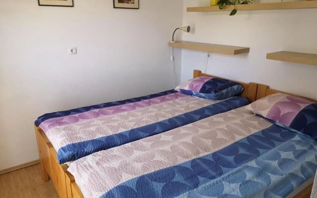 Apartment Damijan