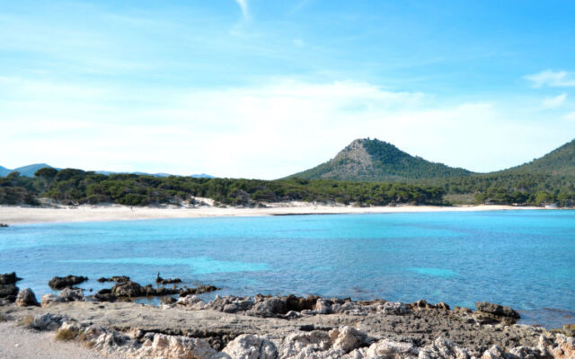 Villa Dream Son Jaumell