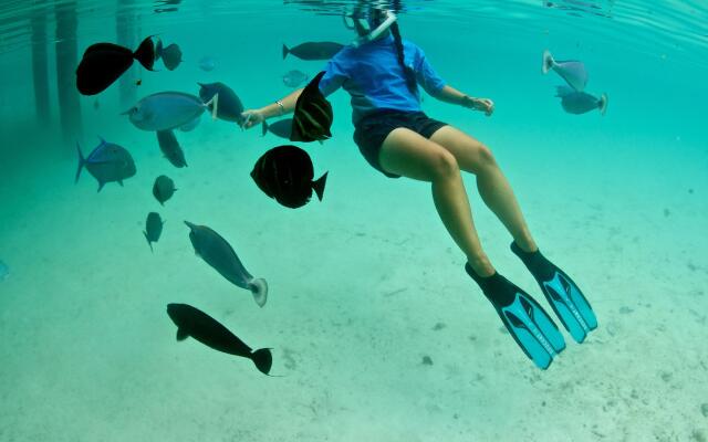 The Westin Bora Bora Resort & Spa