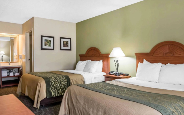 Comfort Inn Pine Grove I-81 Hershey Area