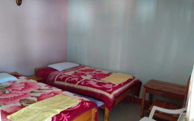 Too Guest House